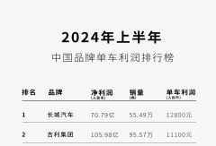 銷冠比亞迪，“不要利潤(rùn)”
